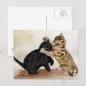 Kittens Briefkaart (Voorkant / Achterkant)