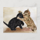 Kittens Briefkaart (Voorkant)
