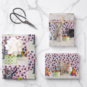 Kittens! Buffington en Patton's verjaardag Inpakpapier Vel