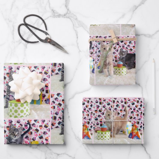 Kittens! Buffington en Patton's verjaardag Inpakpapier Vel (Voorkant)