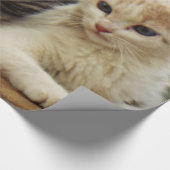 Kittens Cadeaupapier (Hoek)