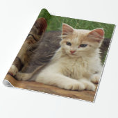Kittens Cadeaupapier (Uitgerold)