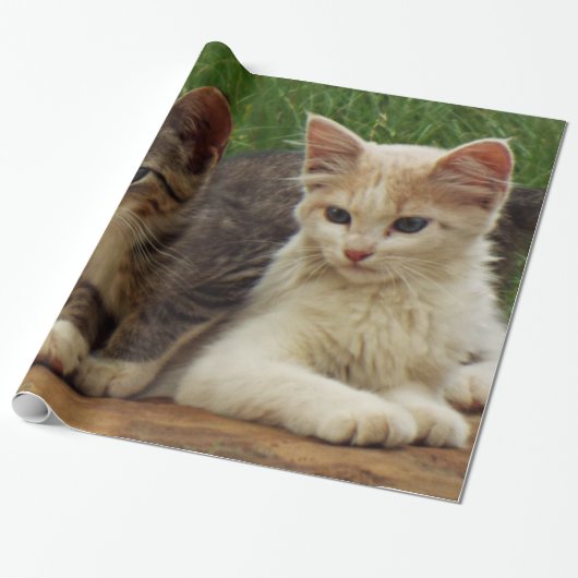 Kittens Cadeaupapier (Uitgerold)
