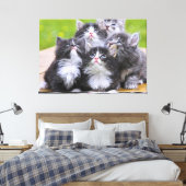Kittens Canvas Afdruk (Insitu (Slaapkamer))