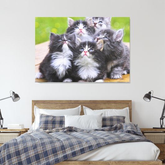 Kittens Canvas Afdruk (Insitu (Slaapkamer))