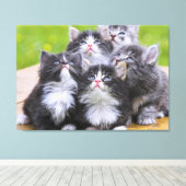 Kittens Canvas Afdruk (Insitu (Houten vloer))