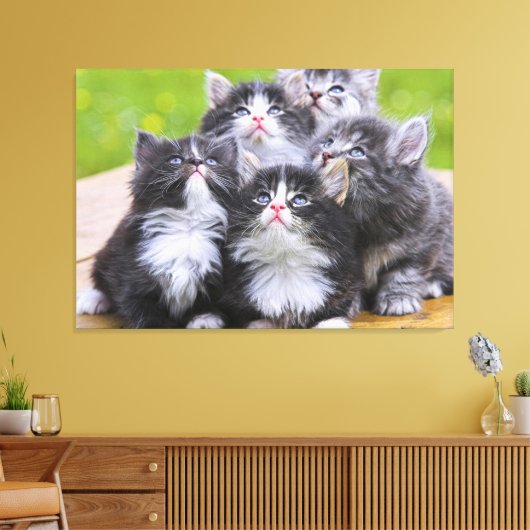 Kittens Canvas Afdruk (Insitu (Woonkamer))