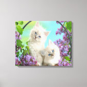 Kittens Canvas Afdruk (Voorkant)