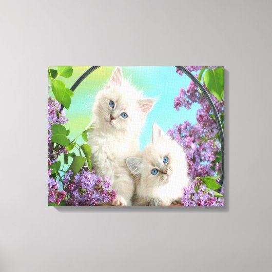 Kittens Canvas Afdruk (Voorkant)