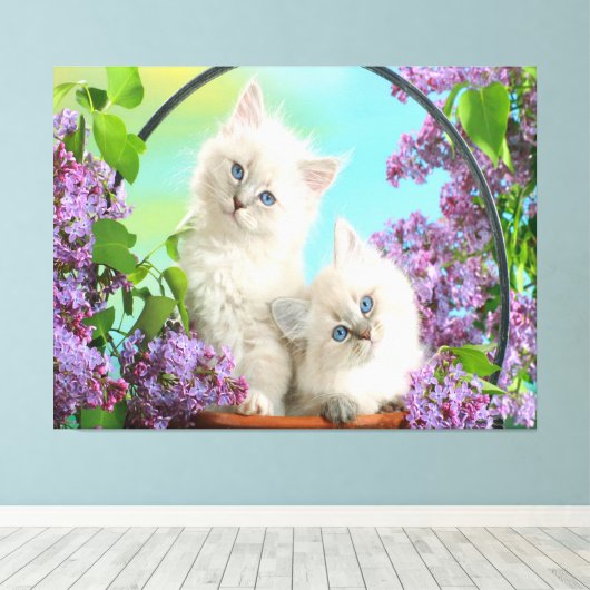 Kittens Canvas Afdruk (Insitu (Houten vloer))