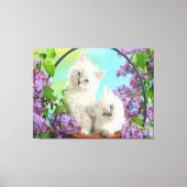 Kittens Canvas Afdruk (Voorkant)