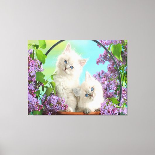 Kittens Canvas Afdruk (Voorkant)