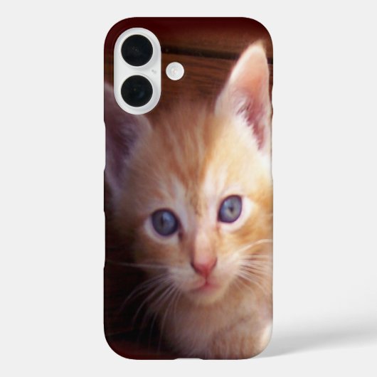 Kittens Case-Mate iPhone Case (Achterkant)