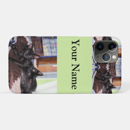 Kittens Case-Mate iPhone Case (Achterkant (horizontaal))