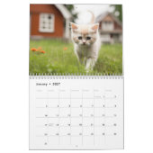 Kittens & Cats Kalender (Jan 2027)