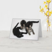 Kittens Denken aan jou Kaart (Gele Bloem)