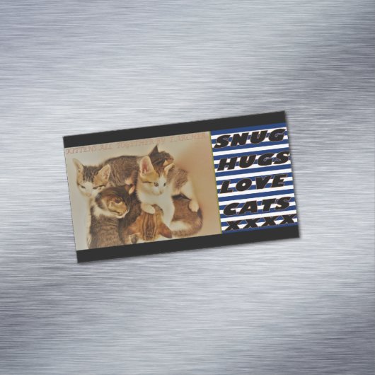 Kittens die afbeelding origineel opnieuw voorstell magnetisch visitekaartje (Voorbeeld)