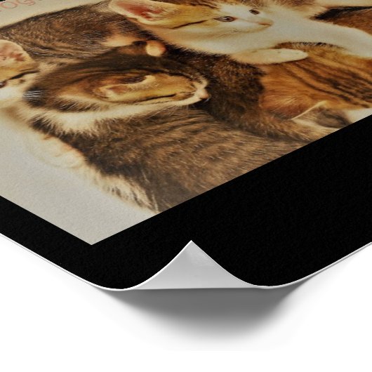Kittens die afbeelding origineel opnieuw voorstell poster (Hoek)