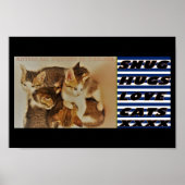 Kittens die afbeelding origineel opnieuw voorstell poster (Voorkant)