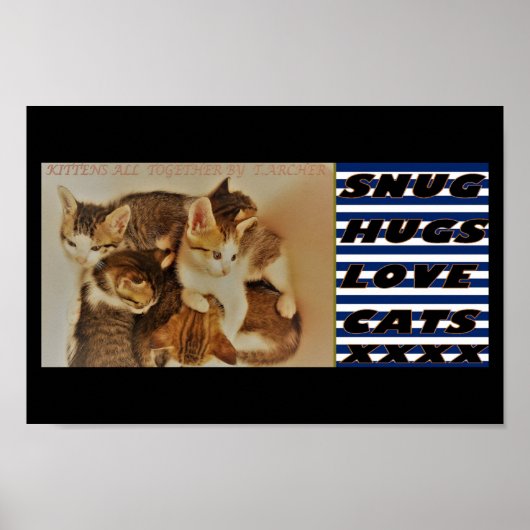 Kittens die afbeelding origineel opnieuw voorstell poster (Voorkant)