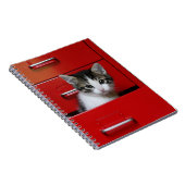 Kittens die gluren notitieboek (Rechterzijde)