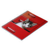 Kittens die gluren notitieboek (Linkerzijde)