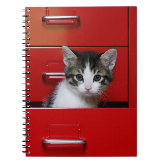 Kittens die gluren notitieboek (Voorkant)