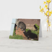 Kittens die Label Wenskaart spelen Kaart (Gele Bloem)