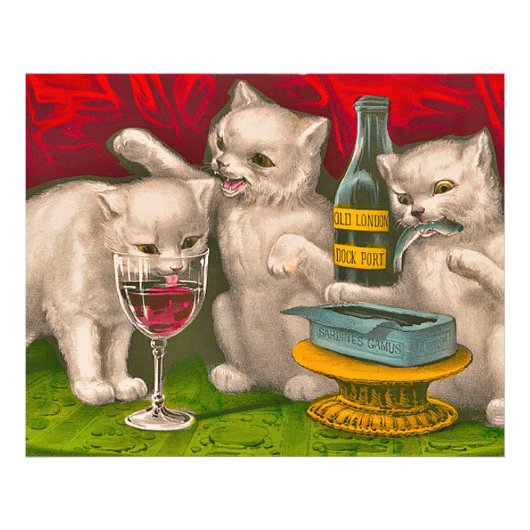 Kittens die sardines drink en eet foto afdruk (Voorkant)