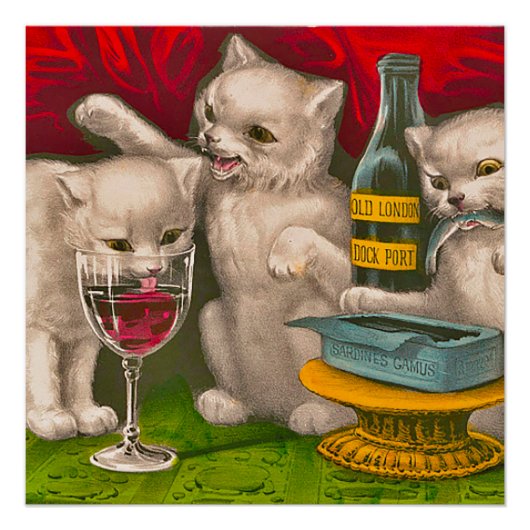 Kittens die sardines drink en eet perfect poster (Voorkant)