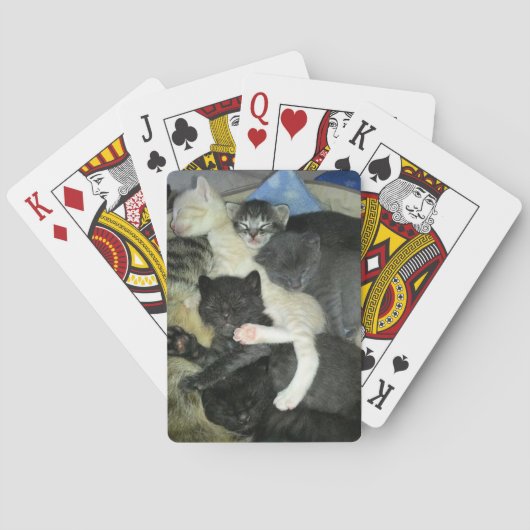 Kittens die tapekaarten afspelen, standaard deklaa pokerkaarten (Achterkant)