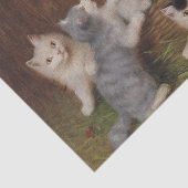 Kittens door Sophie Sperlich Tissuepapier (Detail)