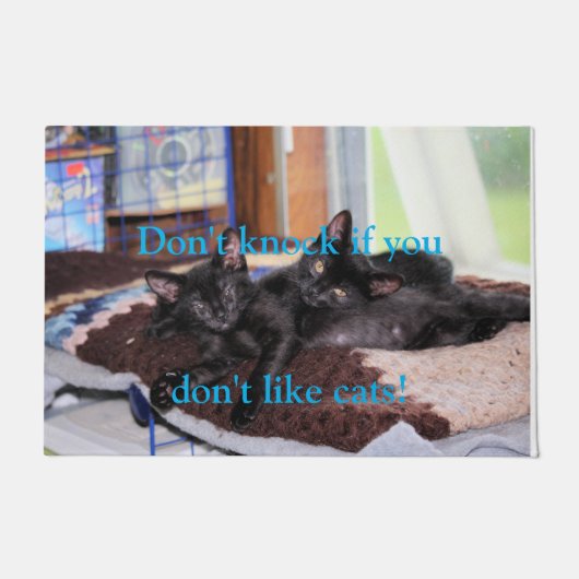 Kittens Doormat Deurmat (Voorkant)