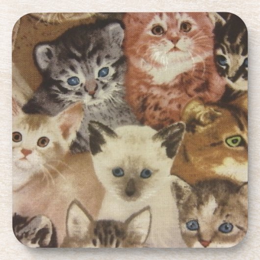 Kittens Drankjes Onderzetter (Voorkant)