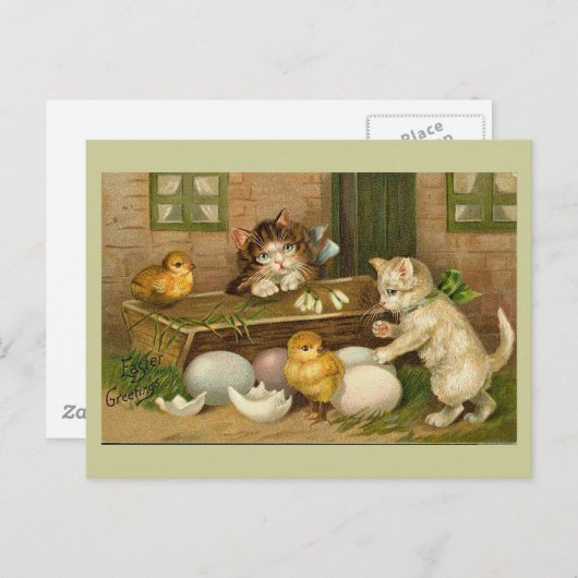 Kittens en Chicks Paasgroet Feestdagenkaart (Voorkant / Achterkant)