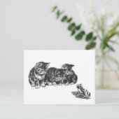 Kittens en een pad van Ernest Nister - kat Briefkaart (Staand voorkant)