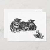 Kittens en een pad van Ernest Nister - kat Briefkaart (Voorkant / Achterkant)