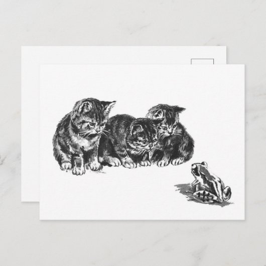 Kittens en een pad van Ernest Nister -  kat Briefkaart (Voorkant / Achterkant)