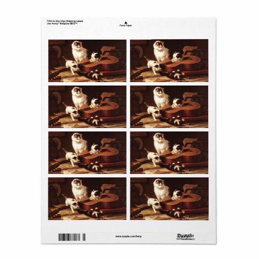 Kittens en Guitar Etiket (Full Sheet)