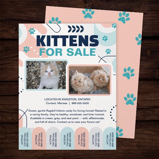 Kittens en katten te koop Tear Offs Flyer Sjabloon
