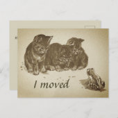  Kittens en Kikker I Bewegde Verandering van Adres Briefkaart (Voorkant / Achterkant)