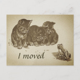  Kittens en Kikker I Bewegde Verandering van Adres Briefkaart
