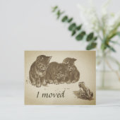  Kittens en Kikker I Bewegde Verandering van Adres Briefkaart (Staand voorkant)