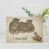 Kittens en Kikker I Bewegde Verandering van Adres Kaart (Staand voorkant)