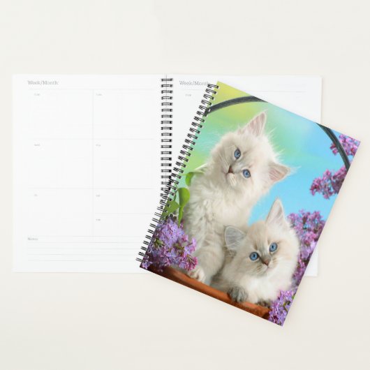 Kittens en Lilacs Planner (Display)
