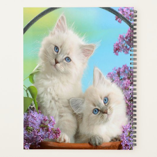Kittens en Lilacs Planner (Achterkant)