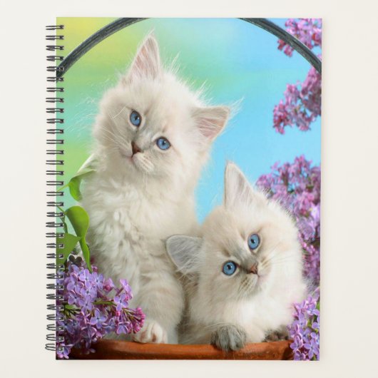Kittens en Lilacs Planner (Voorkant)