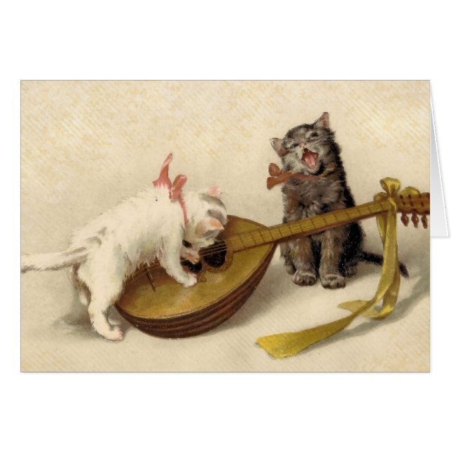 Kittens en Mandolin (Voorkant Horizontaal)