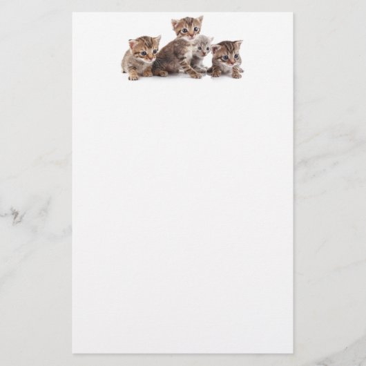 Kittens en meer Kittens Briefpapier (Voorkant)