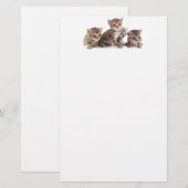 Kittens en meer Kittens Briefpapier (Voorkant / Achterkant)